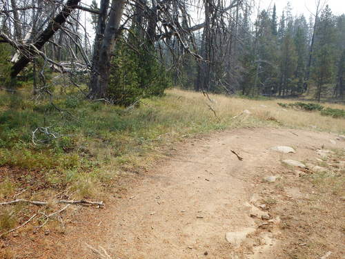 GDMBR: We rode this segment.